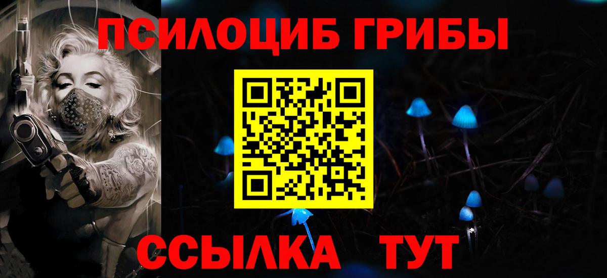 Зима  Галлюциногенные грибы Psilocybine cubensis  Вход с VPN 